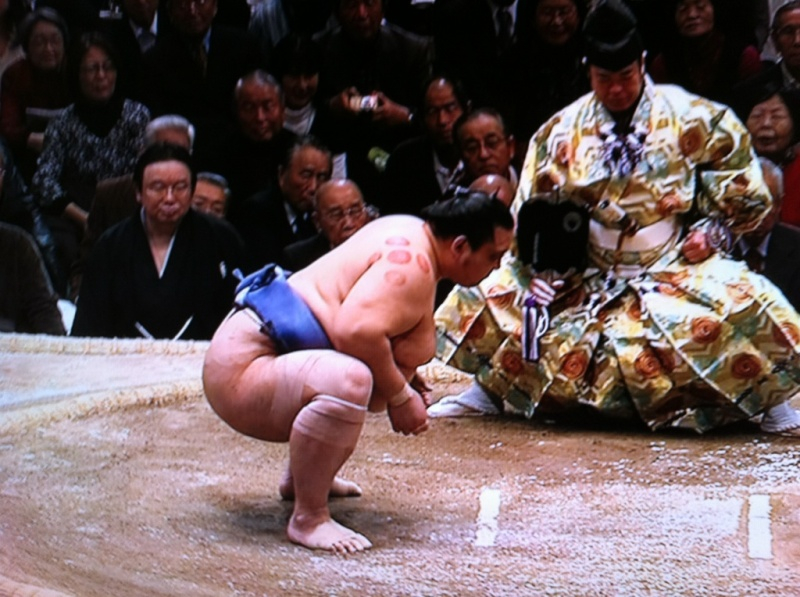 大相撲力士