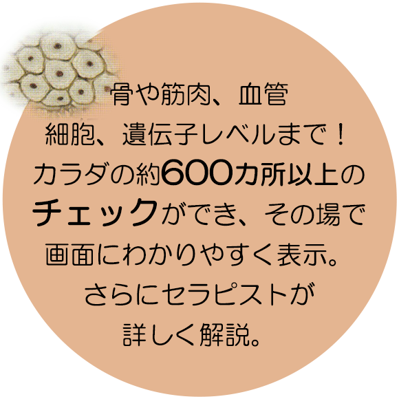 図：骨や筋肉、血管細胞、遺伝子レベルまで！カラダの約600カ所以上のチェックができ、その場で画面にわかりやすく表示。さらにセラピストが詳しく解説。